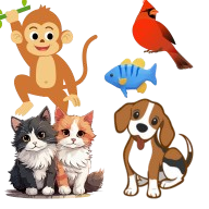 حيوانات وملحقاتها