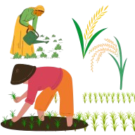 زراعة وفلاحة